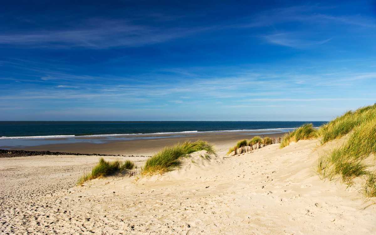 Ameland's participation in the media