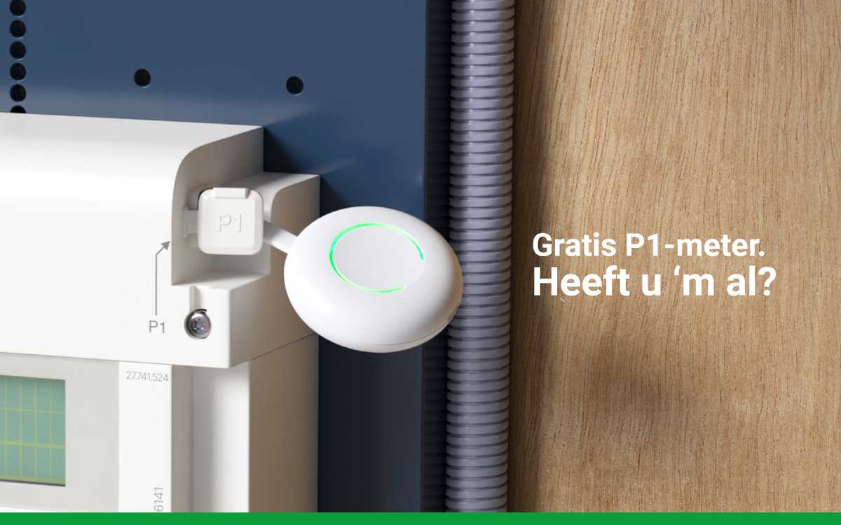 P1 meter. Do you already have it?